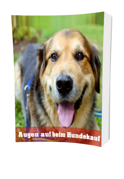 eBook Augen auf beim Hundekauf